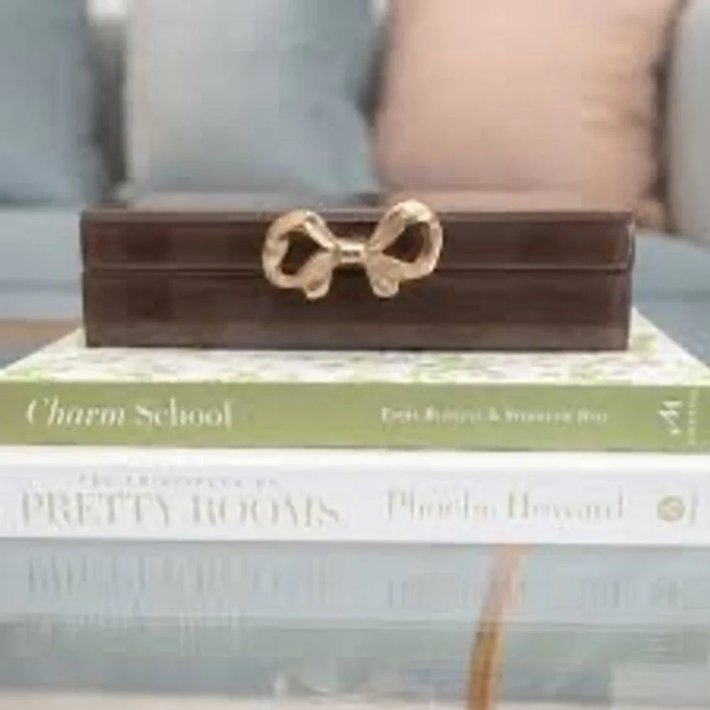 EV Home Brown Glass Jewelry Box Gold Bow Clasp Mirrored Trinket Keepsake Case